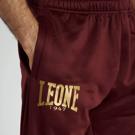 Leone Premium 2 trousers -bordeaux